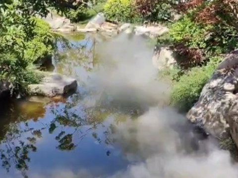 寶雞 太白山唐鎮景區霧森項目
