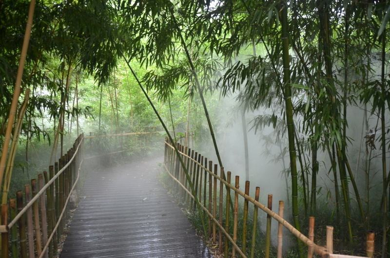 景觀(guān)造霧